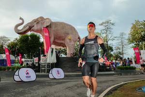 BIB: 
                            <button type="button" onclick="openModal(26529204)" class="btn btn-primary btn-sm float-right btn-popup" data-toggle="modal" data-target=".modal-high-quality">
                        <i class="fas fa-shopping-cart"></i> Add to Cart
                    </button>
                                            <button type="button" onclick="isThisMe(26529204, true)" class="btn btn-success btn-sm float-right btn-popup btn-isme hidden" data-toggle="tooltip" data-placement="bottom" title="นี่คือรูปของคุณใช่ไหม คลิกที่นี่เพื่อเอาเข้าอัลบั้ม">
                        <i class="fas fa-plus"></i> Add to album
                    </button>
                    <button type="button" onclick="isThisMe(26529204, false)" class="btn btn-warning btn-sm float-right btn-popup btn-isnotme hidden">
                        <i class="fas fa-ban"></i> Remove from album
                    </button>